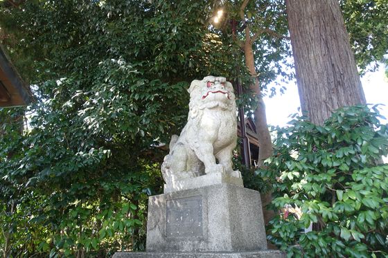 比々多神社 狛犬