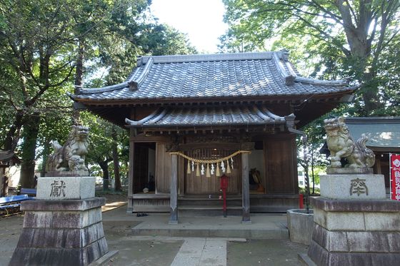 仙波氷川神社 社殿