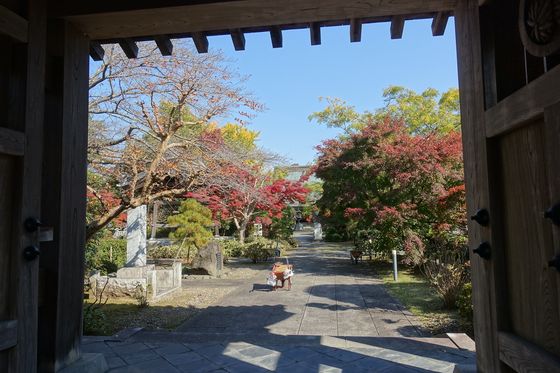 祇園寺 水戸 紅葉