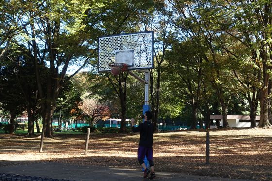 赤塚公園 バスケットゴール