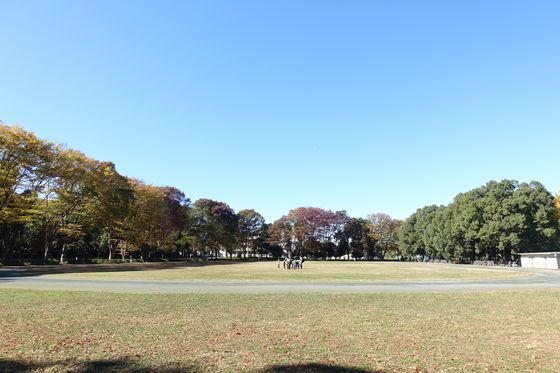 赤塚公園 広場