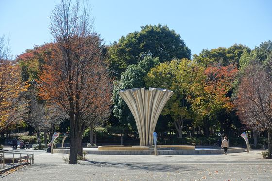 赤塚公園 秋