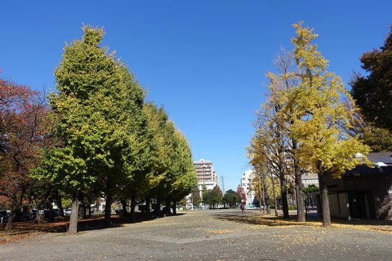 赤塚公園 紅葉