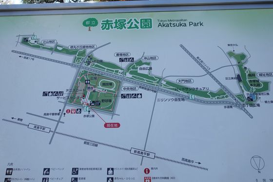 赤塚公園 園内マップ