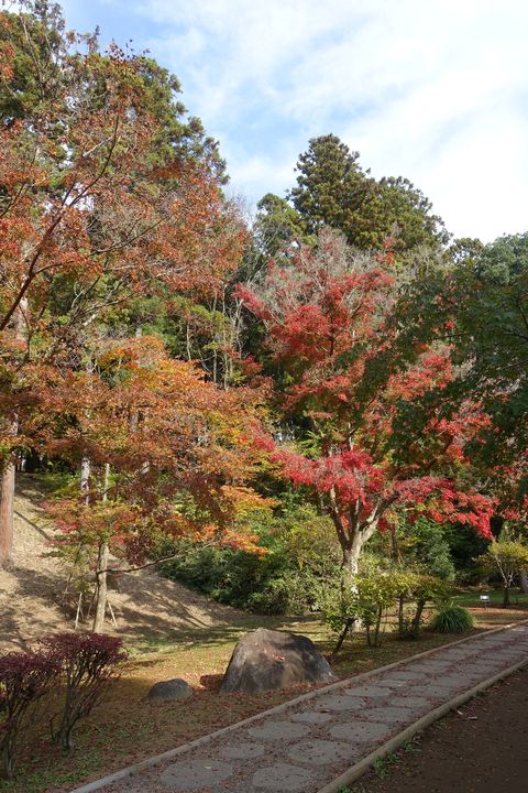 茨城県 紅葉