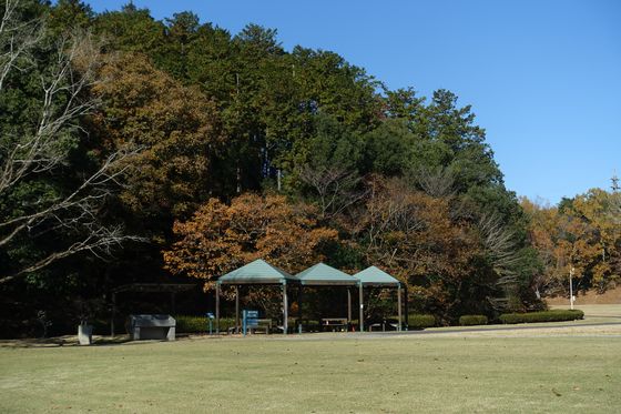 秋 笠間芸術の森公園