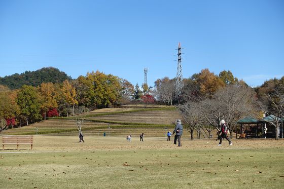 笠間 公園 紅葉