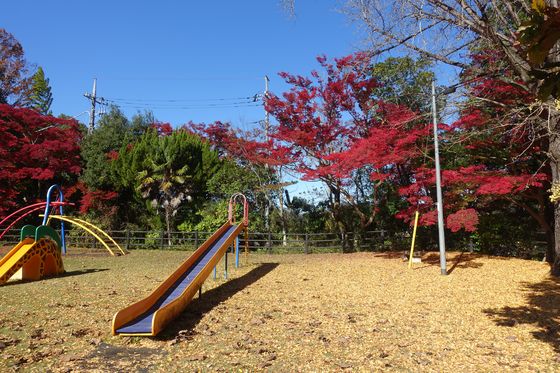 笠間市 公園 紅葉