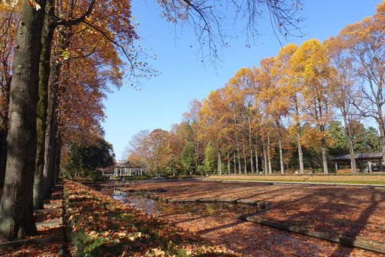 栃木県中央公園 沈床園