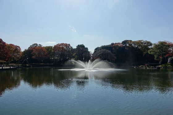栃木県中央公園 昭和大池