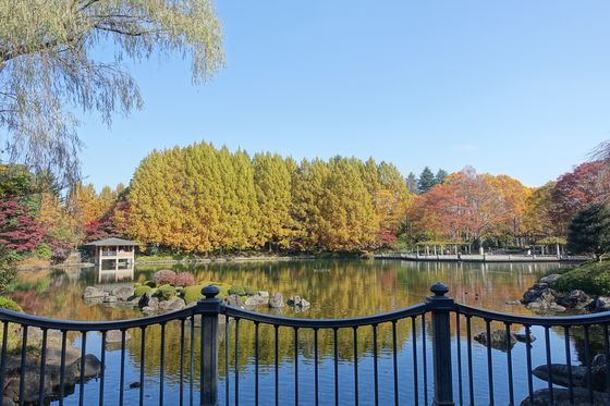 栃木県中央公園 アクセス