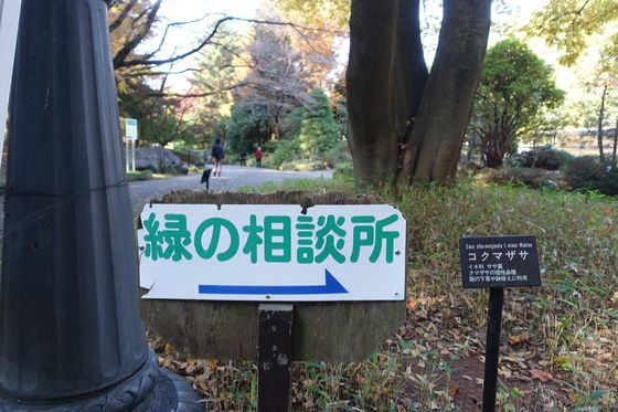 栃木県中央公園 緑の相談所