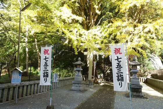 上草柳熊野神社 銀杏 紅葉