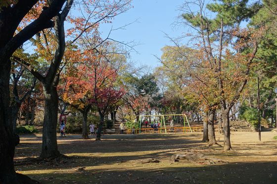 茂呂山公園 秋