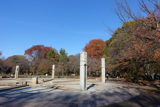 武蔵野公園 秋