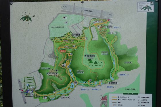 東高根森林公園 園内マップ