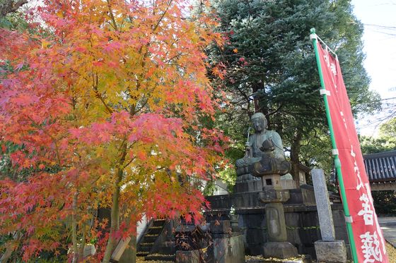 品川寺 秋