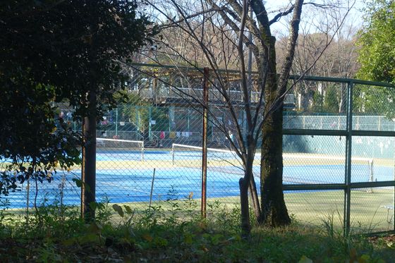 一本杉公園 テニスコート