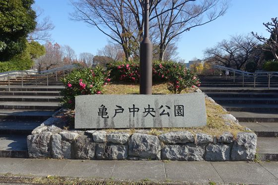 亀戸中央公園