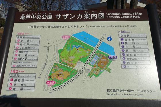 亀戸中央公園 園内マップ