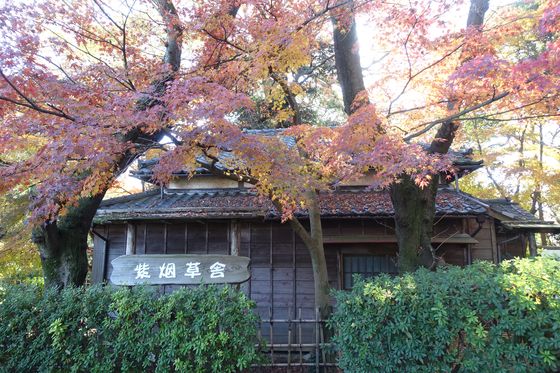 里見公園 秋