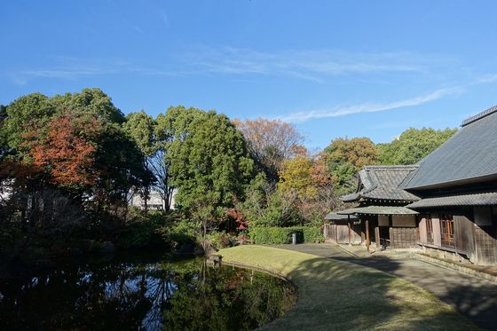 旧富澤家 紅葉