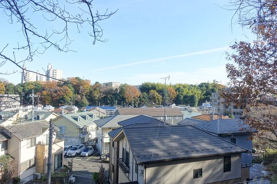 多摩 公園 紅葉