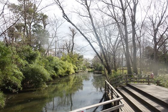 仙波河岸史跡公園 池