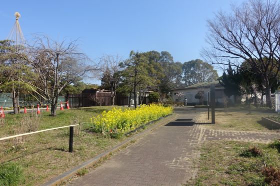 篠崎公園