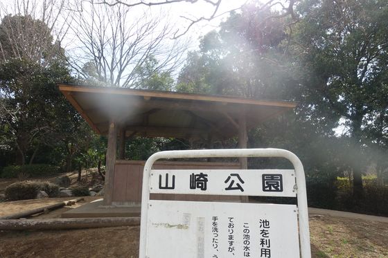 山崎公園 富士見市