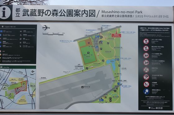 武蔵の森公園 園内マップ