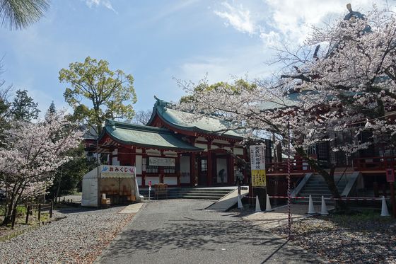 静岡浅間神社 春