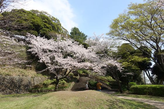 富岡総合公園 ケヤキ広場