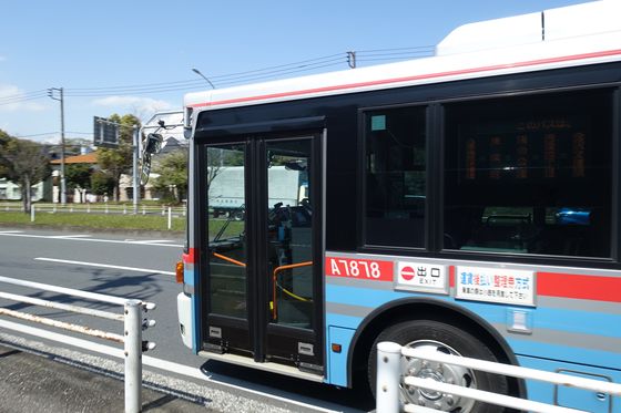 弘前城の桜 横浜 バス